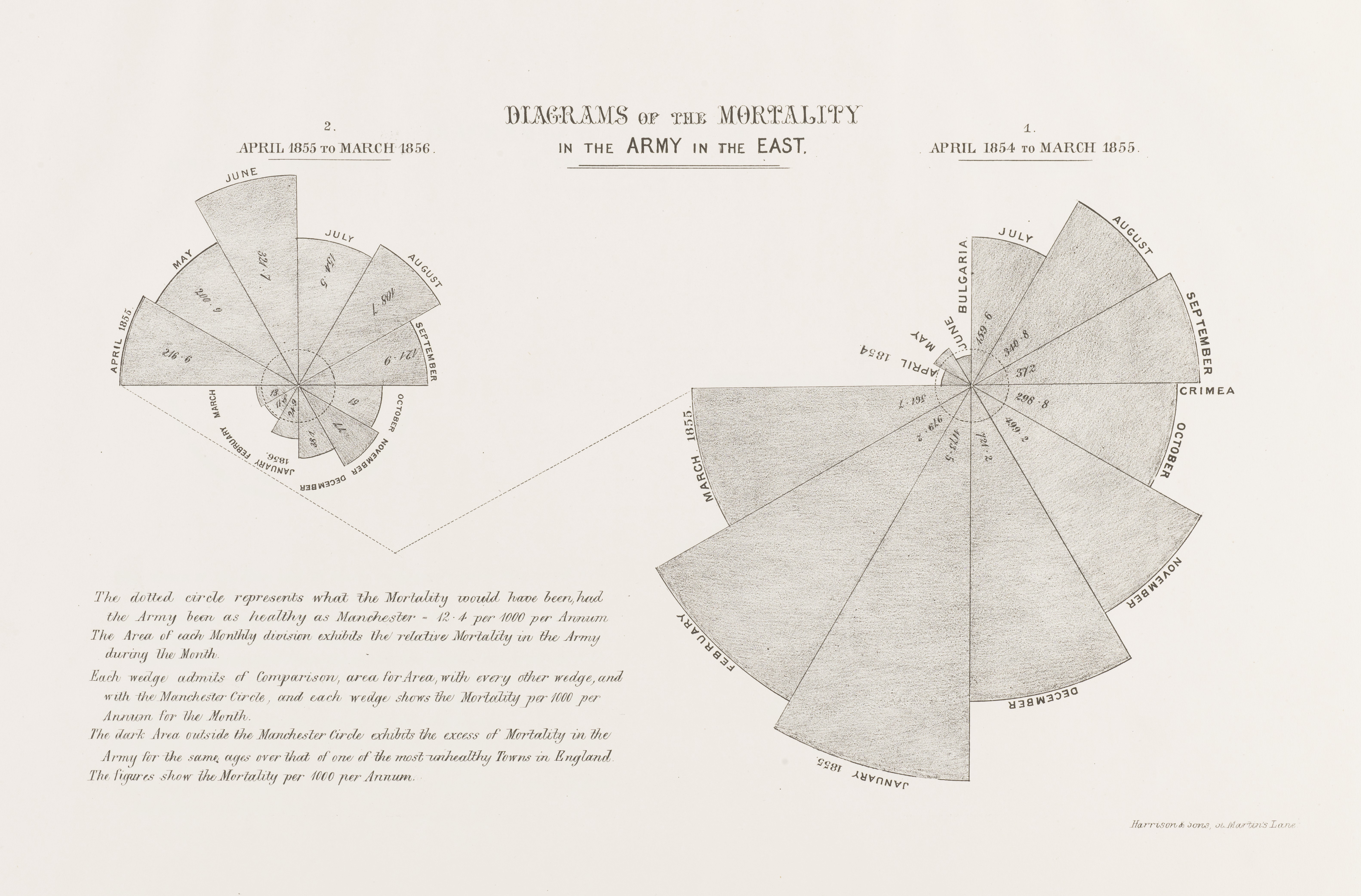 nightingale and rose diagram mortality