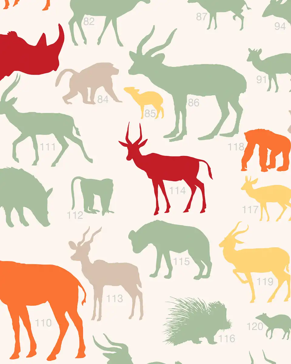 portfolio-card_endagered-safari